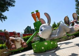 Wild- und Freizeitpark Klotten Wild- und Freizeitpark Klotten